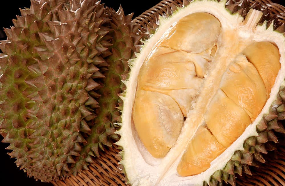 Durian background