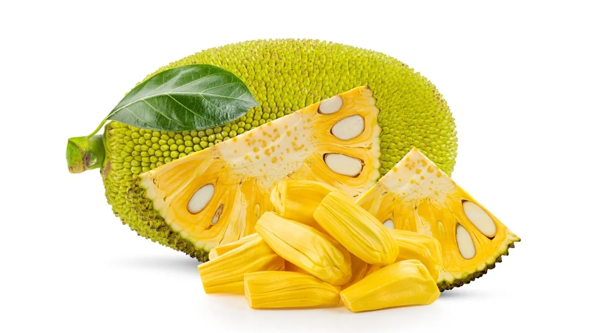 Fresh Jackfruit